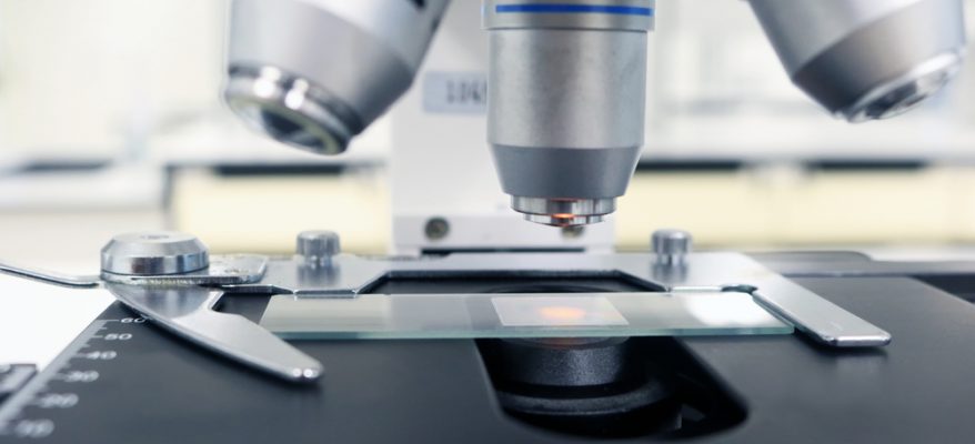 Tecnici Di Laboratorio Biomedico: Chi Sono E Cosa Fanno - Blog ...